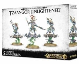 Warhammer Age of Sigmar - Tzeentch Arcanites Tzaangor Enlightened