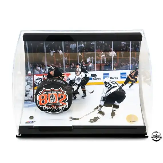 UDA: Wayne Gretzky Signed 802 Puck with 802 Goal Picture Curve Display